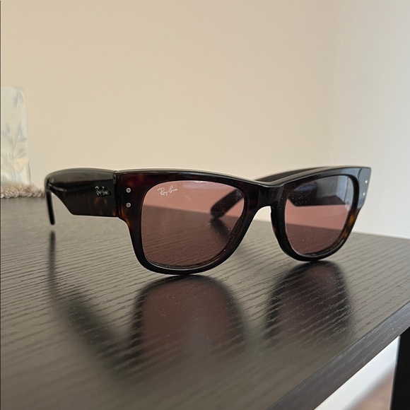 Ray-Ban Brown Sunglasses with Dark Lenses